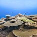 Samsung Galaxy’s Ocean Mode and Coral Reef Initiative Receive International Recognition and Awards in 2026